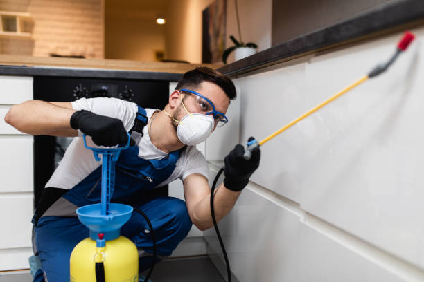 Best Residential Pest Control  in Rosedale, MD