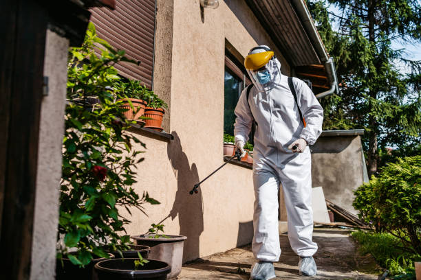 Best Affordable Pest Control Services  in Rosedale, MD