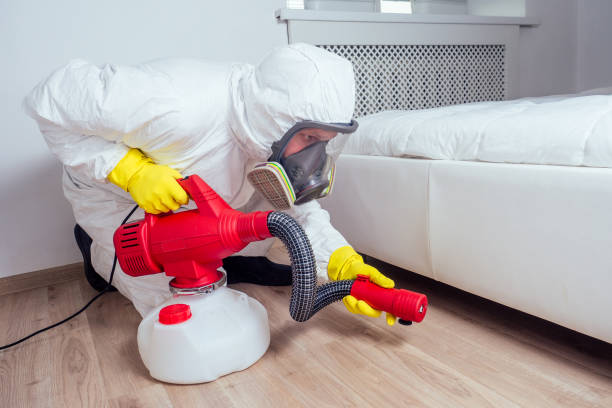 Best Cockroach Control Services  in Rosedale, MD