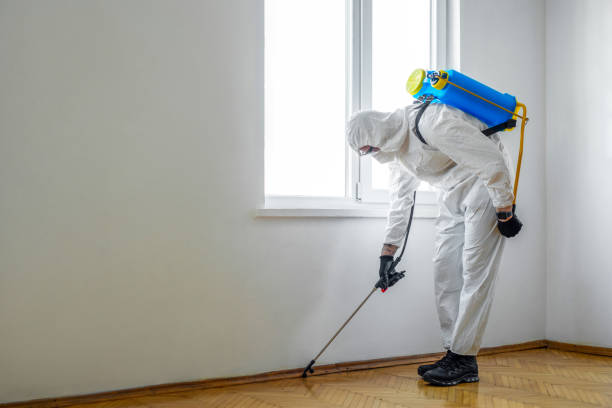 Best Termite Control Services  in Rosedale, MD