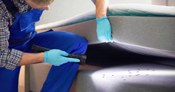 Best Pest Prevention Services  in Rosedale, MD