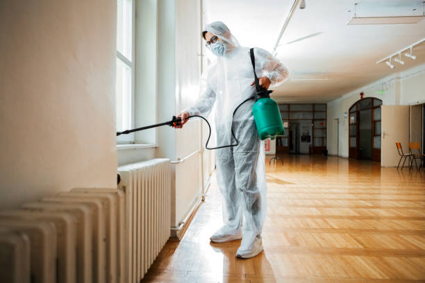 Best Best Pest Control Companies  in Rosedale, MD